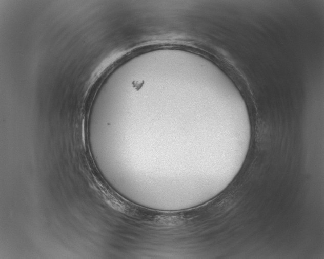 X0000076391320200611031645