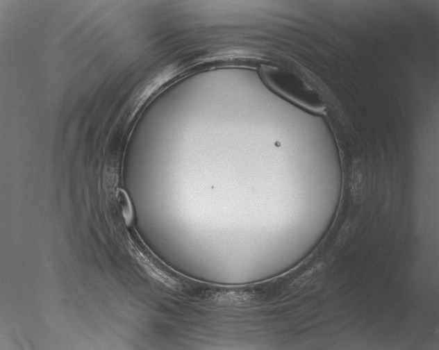 X0000076391321200611031645