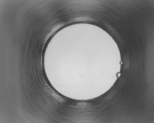 X0000076391322200611031645