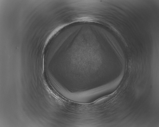 X0000076391323200611031645