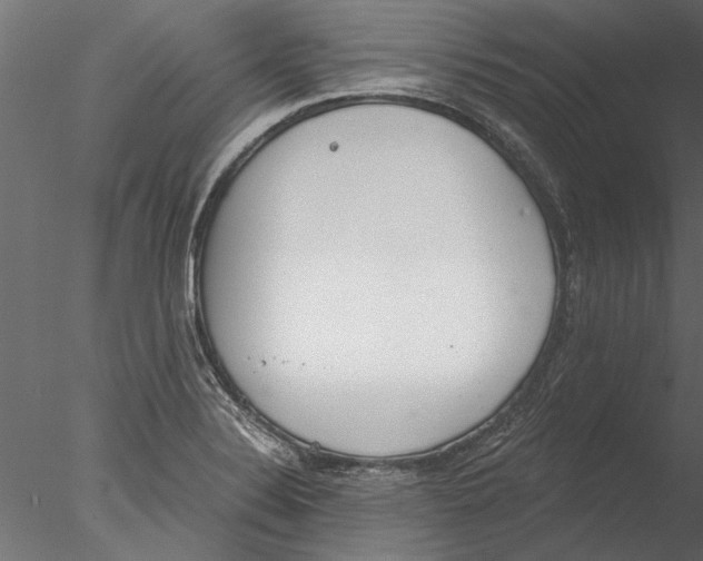 X0000076391324200611031645