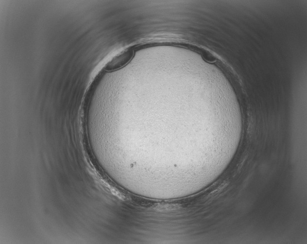 X0000076391325200611031645