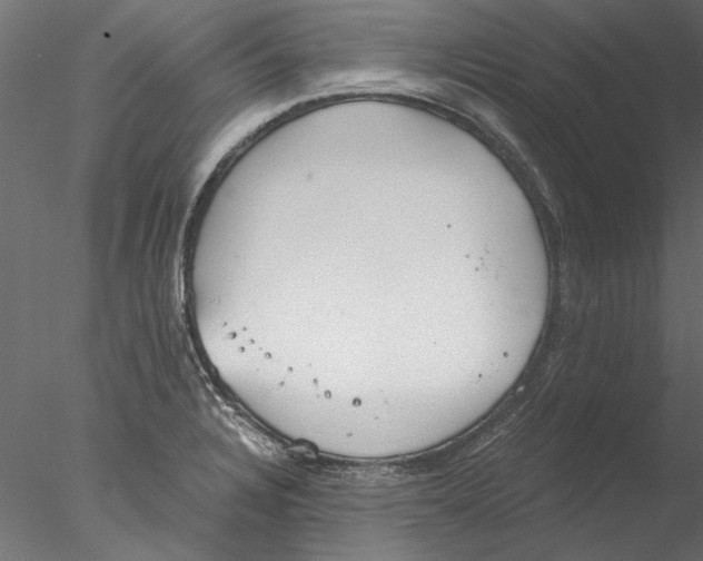 X0000076391328200611031645