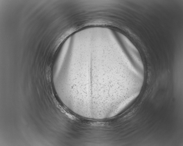 X0000076391329200611031645