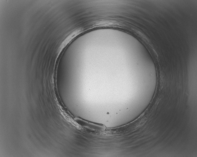 X0000076391330200611031645