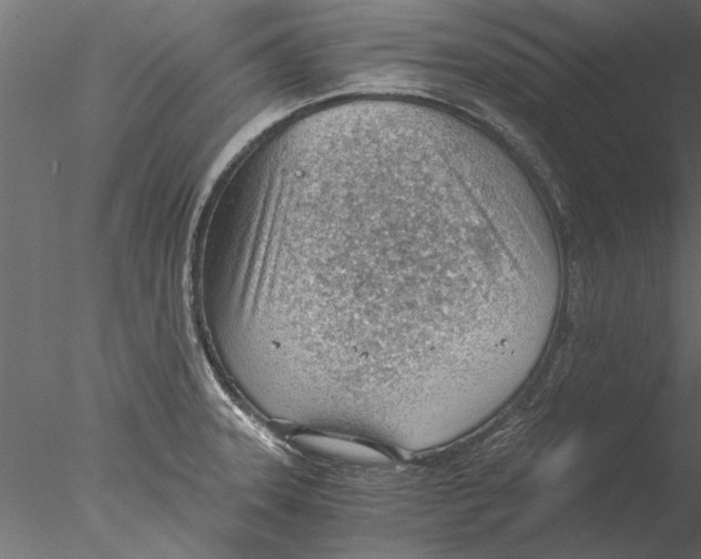 X0000076391331200611031645