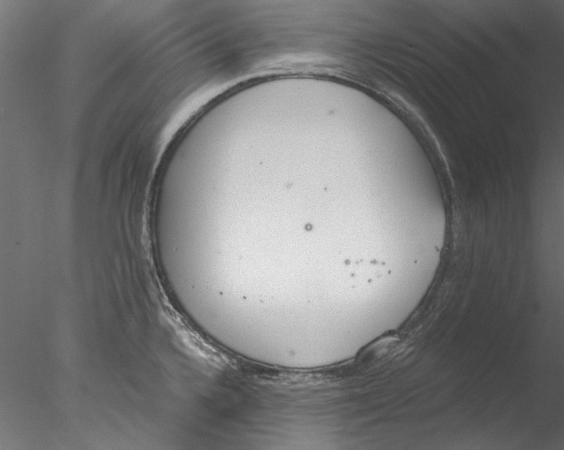 X0000076391336200611031645