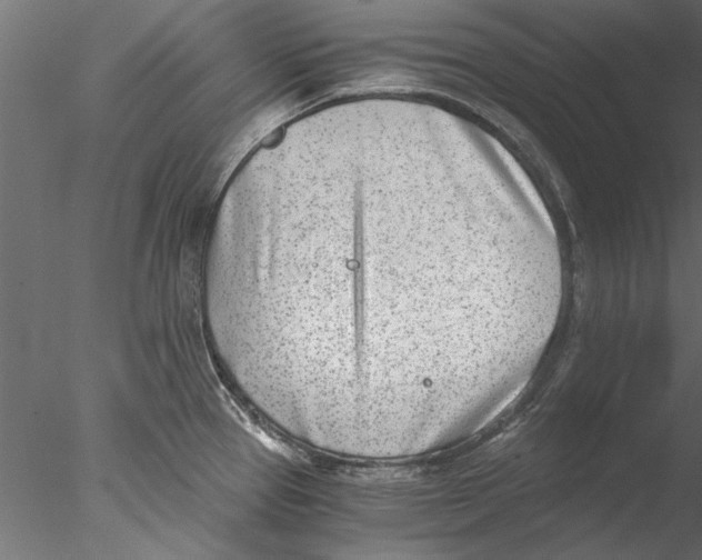 X0000076391337200611031645