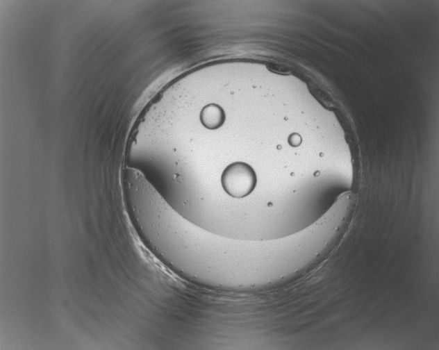 X0000076391338200611031645