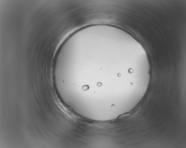 X0000076391340200611031645