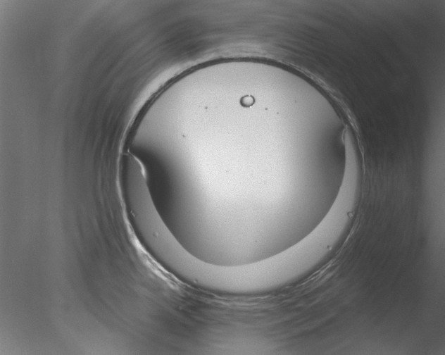 X0000076391342200611031645