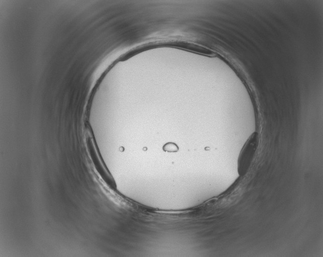 X0000076391344200611031645