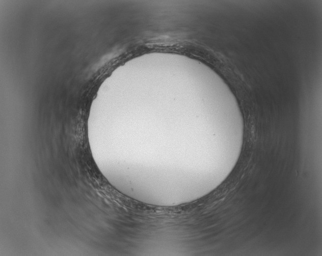 X0000076391350200611031644