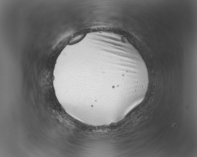 X0000076391351200611031644