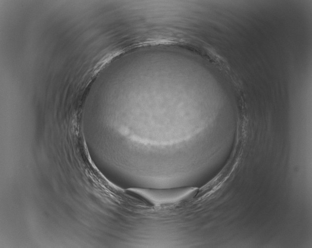 X0000076391353200611031644