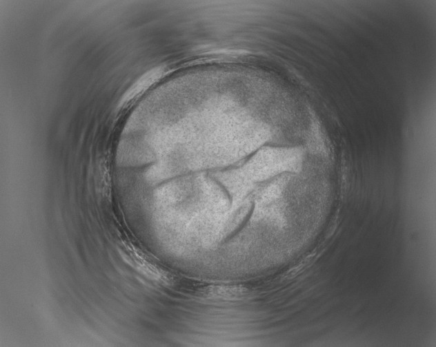 X0000076391354200611031644