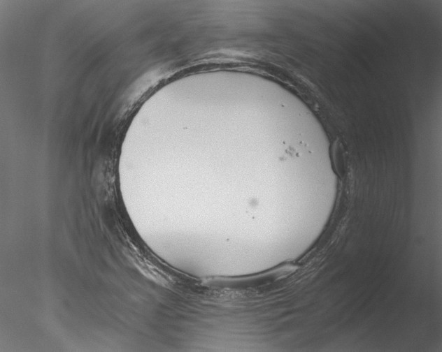 X0000076391355200611031644