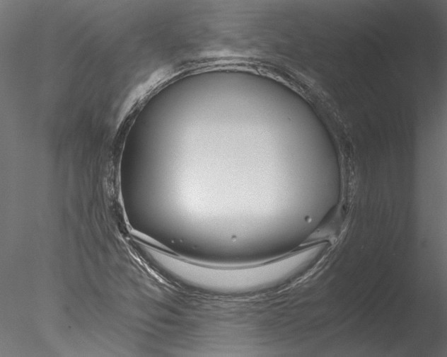 X0000076391357200611031644