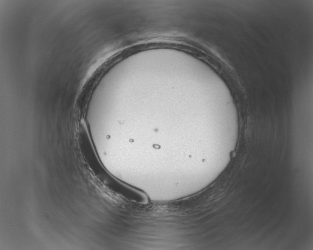 X0000076391360200611031644