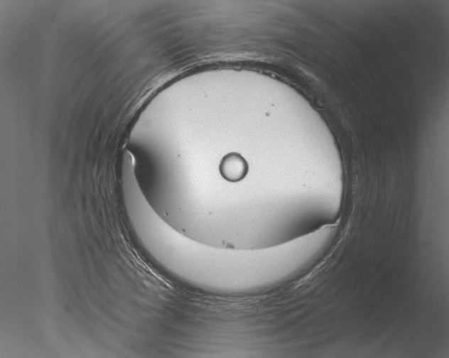 X0000076391361200611031644