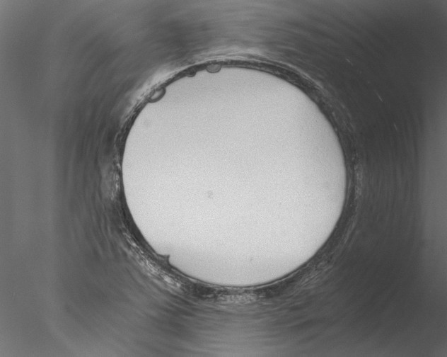 X0000076391363200611031644