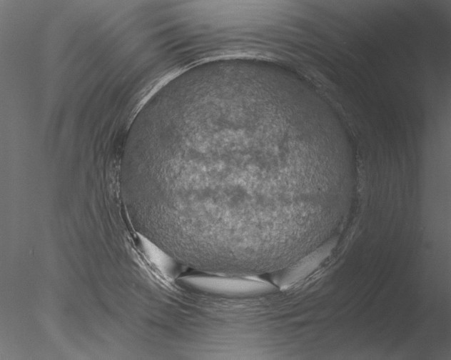 X0000076391369200611031644