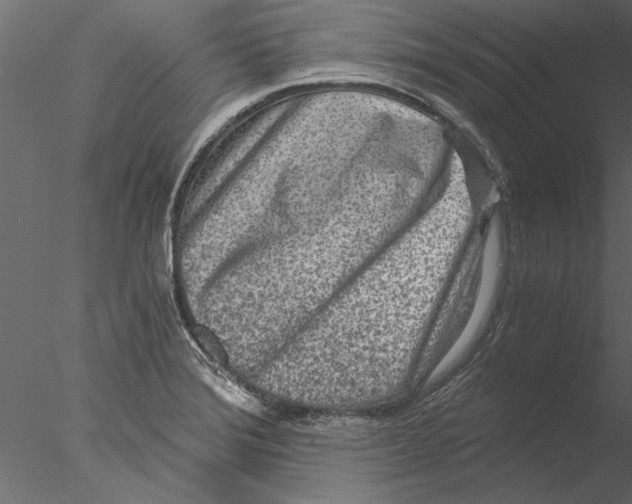 X0000076391372200611031644