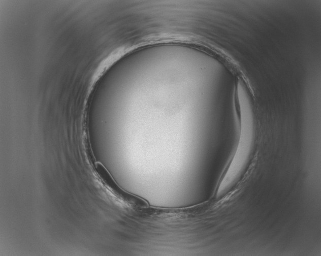 X0000076391373200611031644