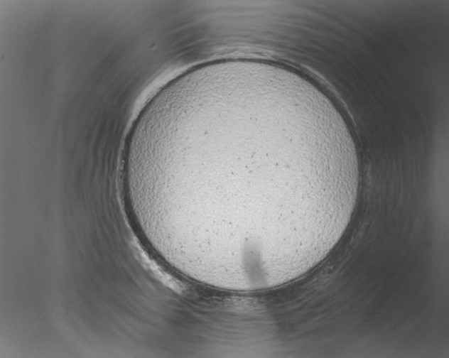 X0000076391379200611031644