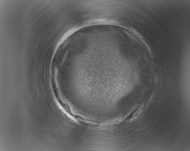 X0000076391381200611031644