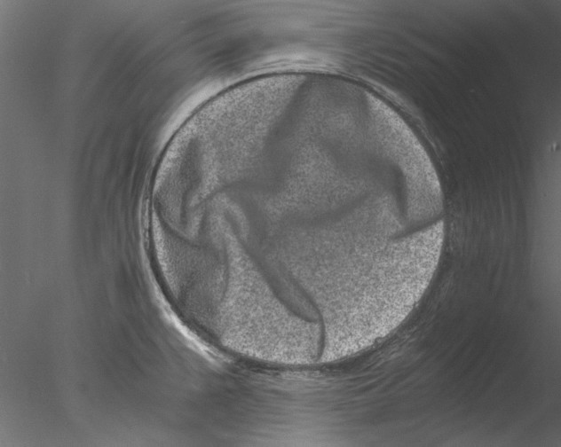 X0000076391383200611031644