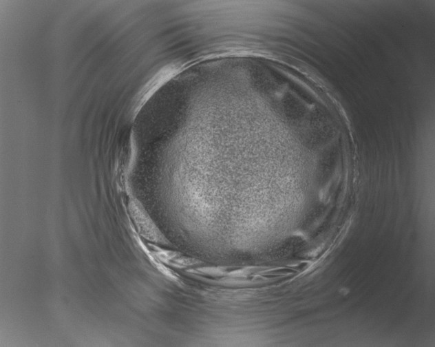 X0000076391385200611031644