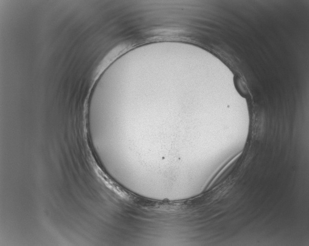 X0000076391386200611031644