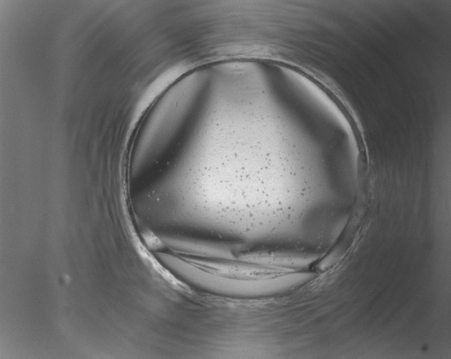 X0000076391389200611031644