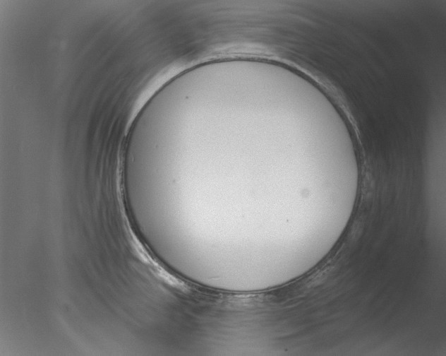 X0000076391390200611031644