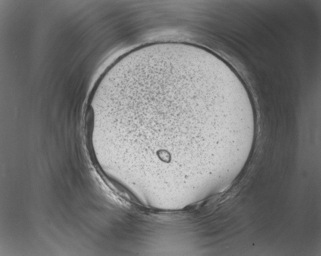 X0000076391392200611031644