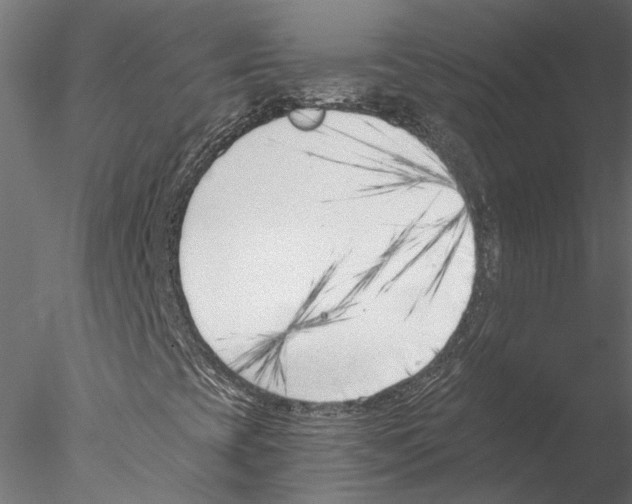 X0000076391393200611031643