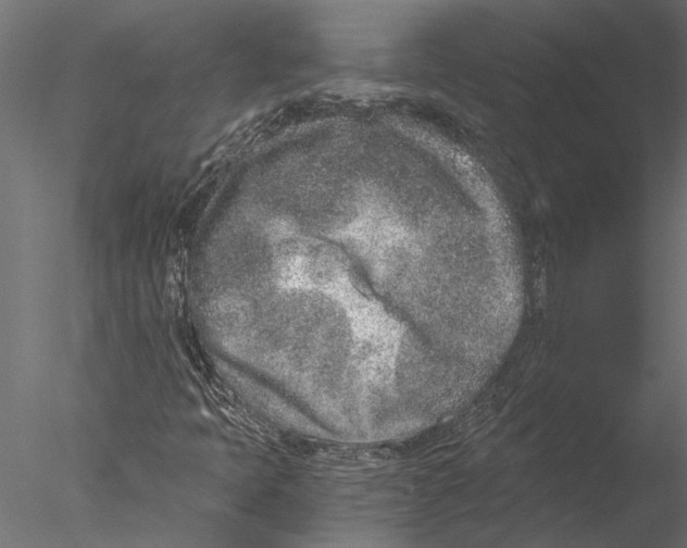 X0000076391397200611031643