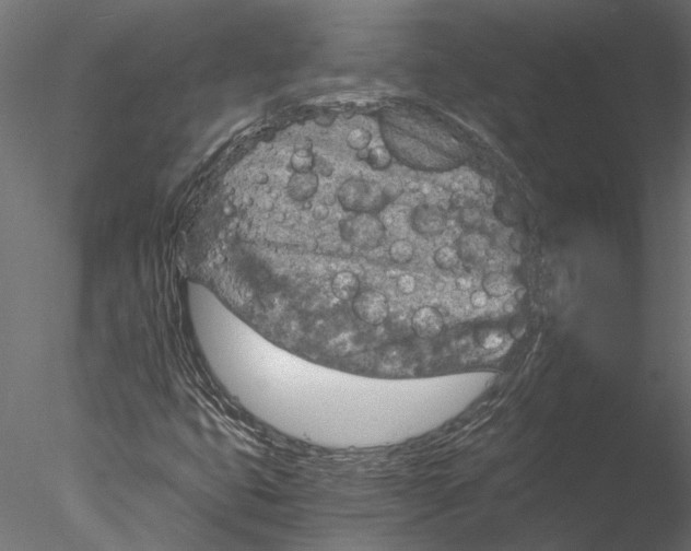 X0000076391399200611031643