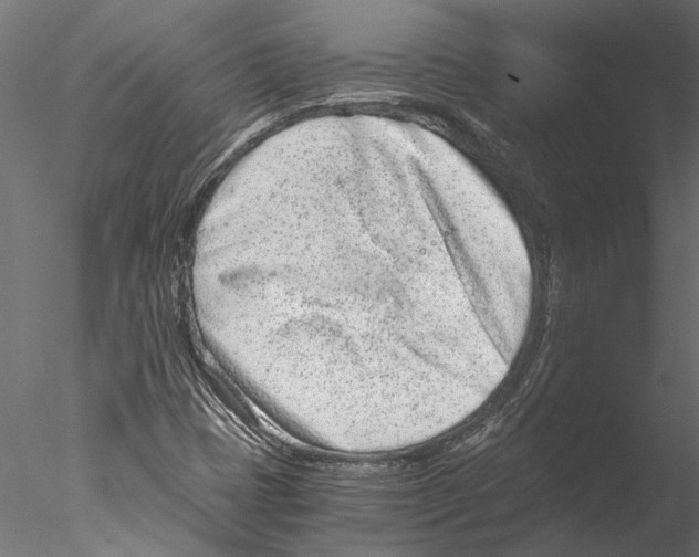 X0000076391401200611031643