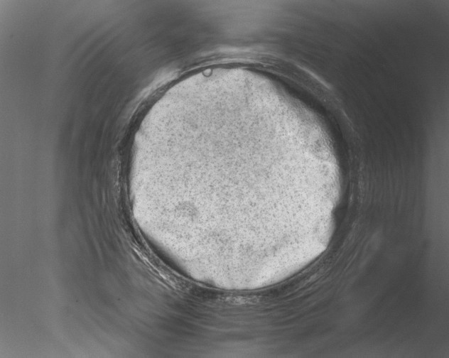 X0000076391411200611031643