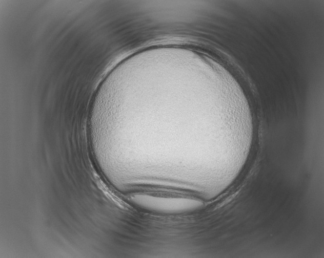 X0000076391417200611031643