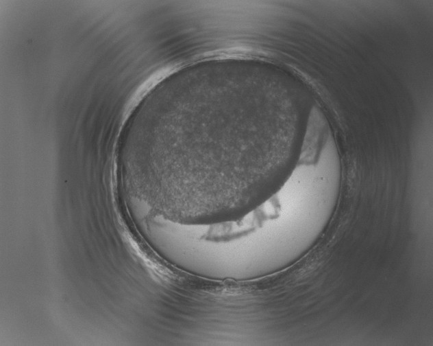 X0000076391418200611031643