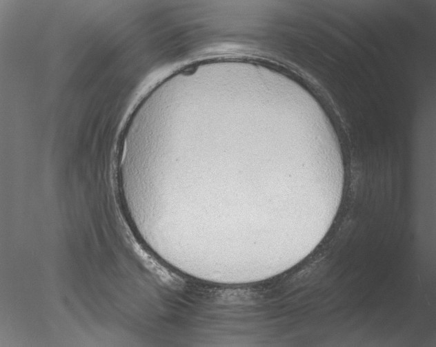 X0000076391421200611031643