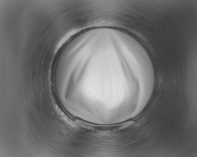 X0000076391422200611031643