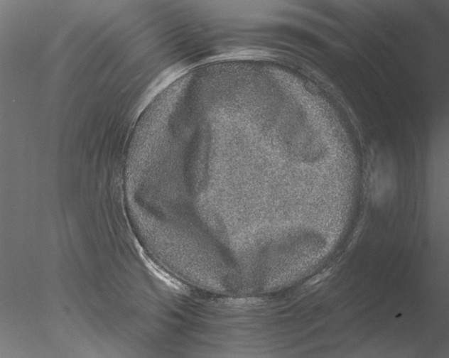 X0000076391425200611031643