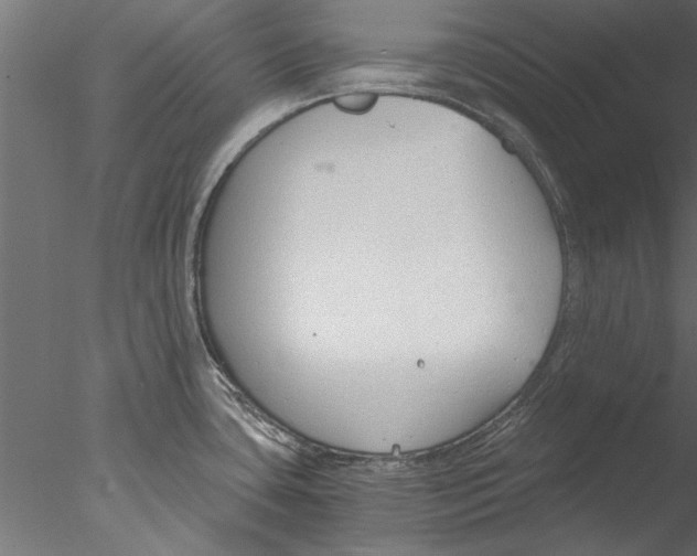 X0000076391435200611031644