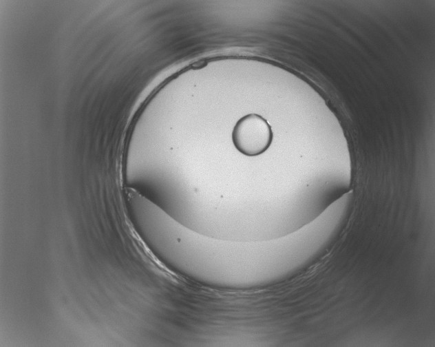 X0000076391436200611031644