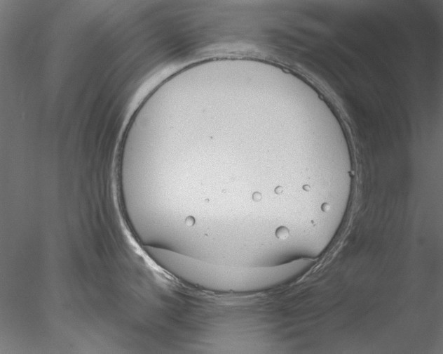 X0000076391440200611031644