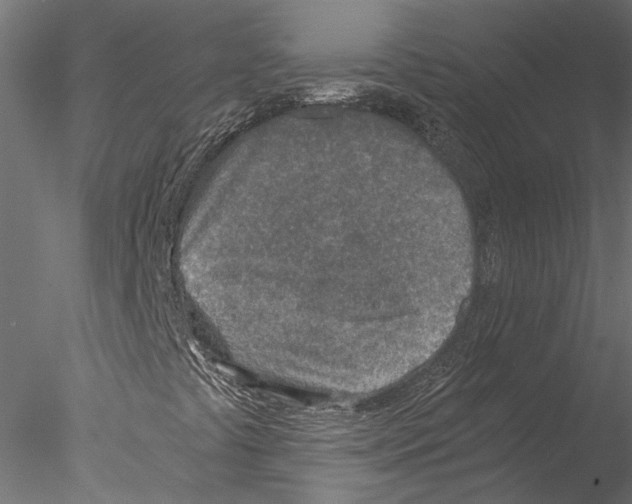 X0000076391441200611031643